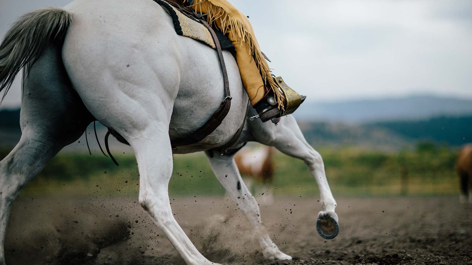 Catch The Outlaw Spirit In Wyoming Travel Wyoming