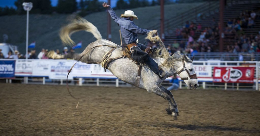 Bronc Rider in the Cody Stampede Rodeo, a summertime top event.