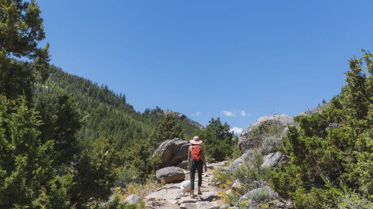 Person hiking on a mountain trail