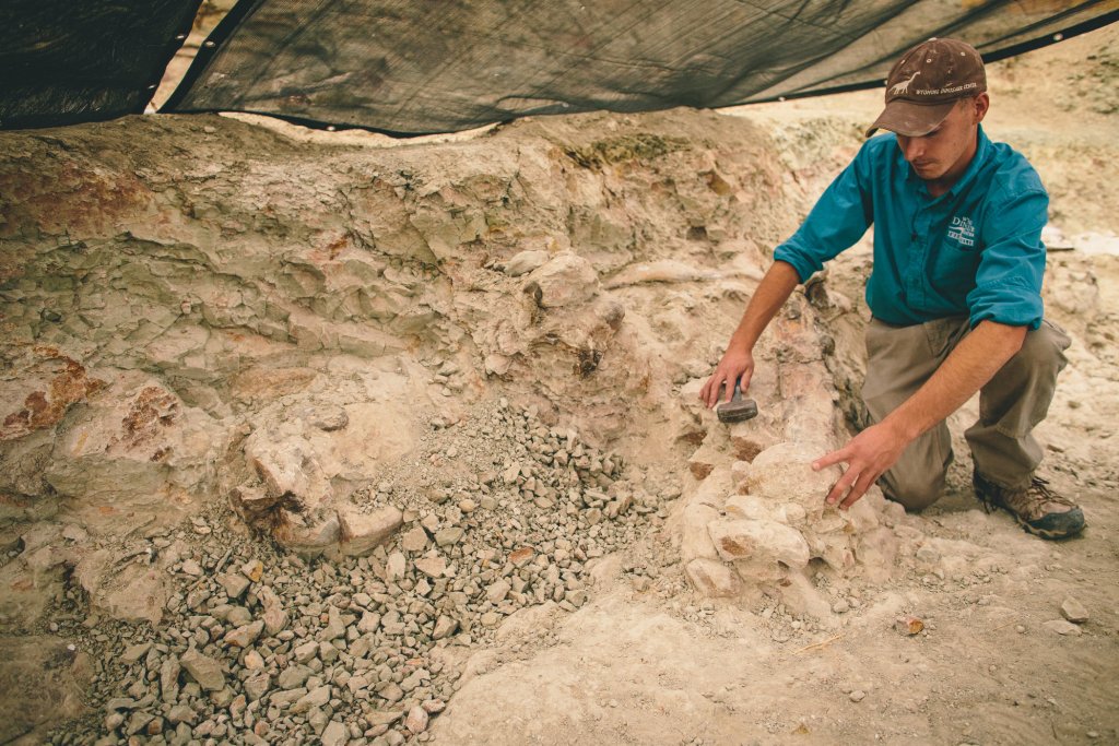 Man searching for dinosaur bones at the Wyoming Dinosaur Center in Thermopolis, Wyoming 