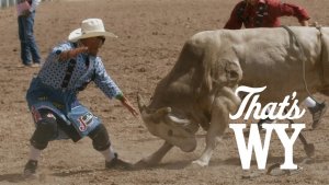 Bullfighting With Dusty Tuckness