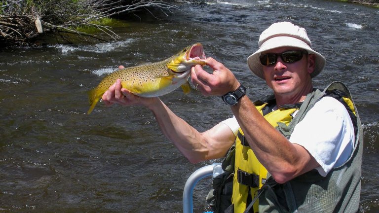 Best Times to Fish the North Platte River from Saratoga