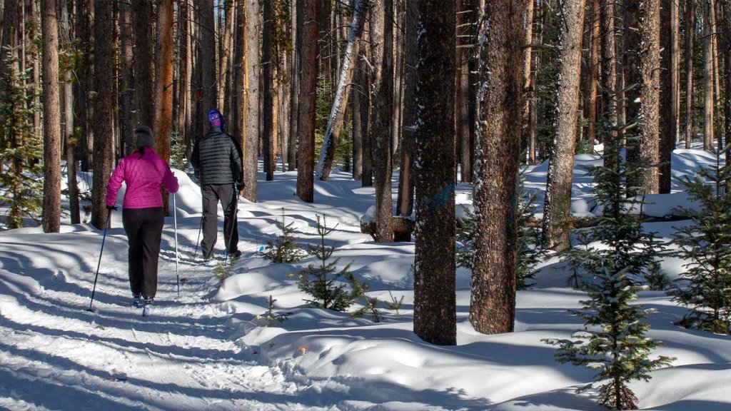 Visitors cross-country ski through the Snowy Range Mountains near Saratoga, a popular wintry road trip stop.