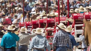 4 Things You Might Not Know About Rodeo
