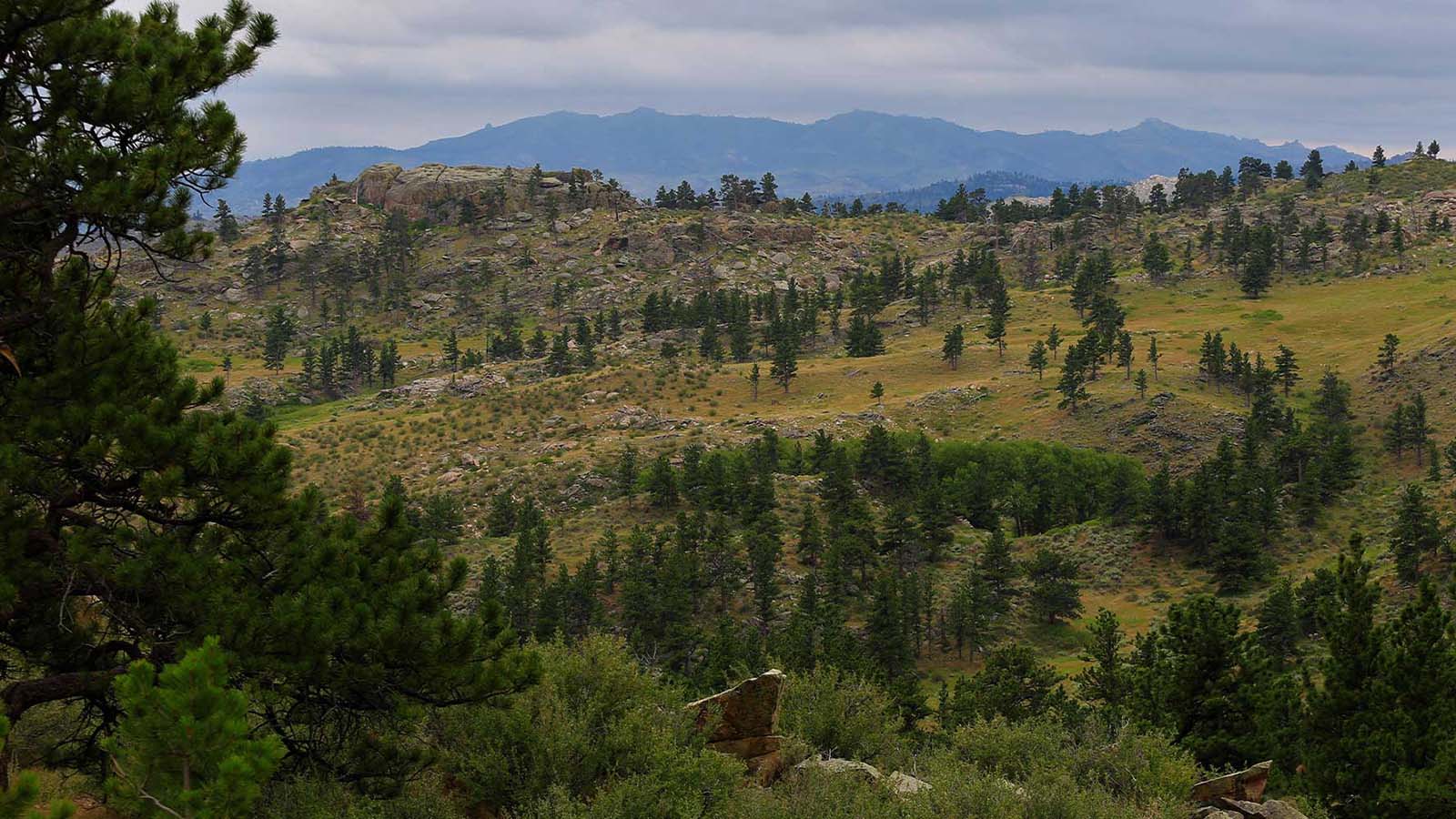 3 Day Travel Itinerary For Exploring Laramie Peak Wyoming   Alternative Hero Size 2 