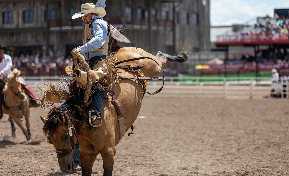 A cowboy rides a bucking bronco at Cheyenne Frontier Days.