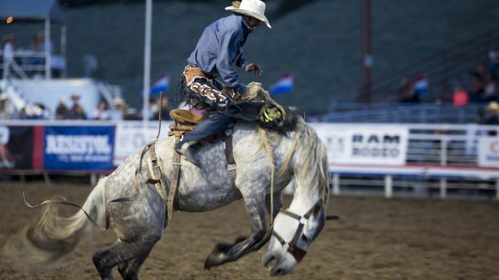 Cowboy up this Summer with these Can'tMiss Wyoming Rodeos