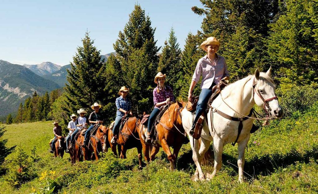 A group of seven visitors ride horses all in a row along a trail through the pine trees in Sheridan.