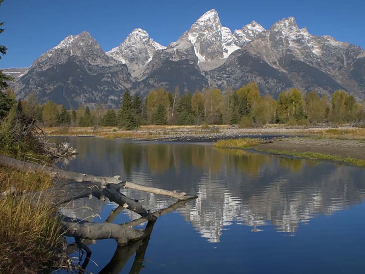 Dog friendly hikes near hotsell grand tetons