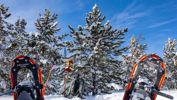 Medicine Bow National Forest Laramie 2021 All You Need To