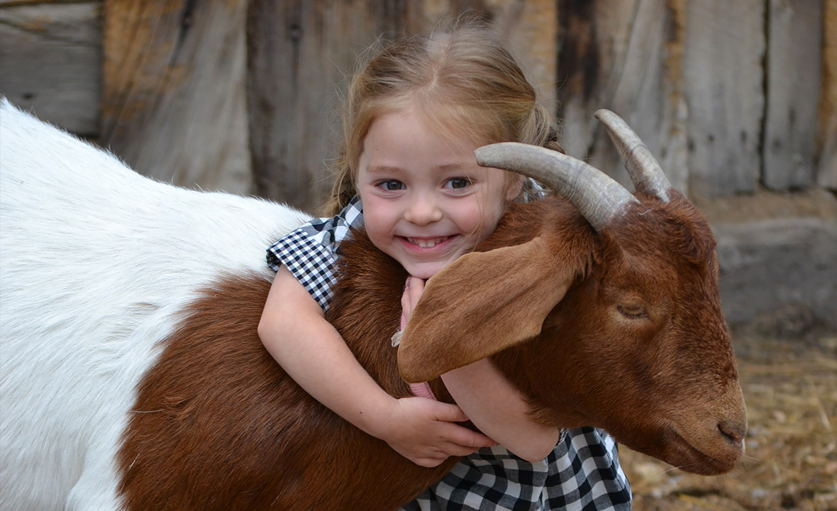 Young girl gives goat a big hug on the Vee Bar Guest Ranch
