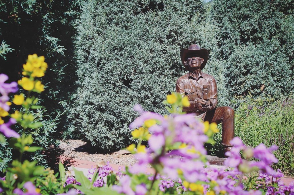 A bronze statue of a man in a cowboy hat sits amongst the flowers of Cheyenne's Botanic Gardens.
