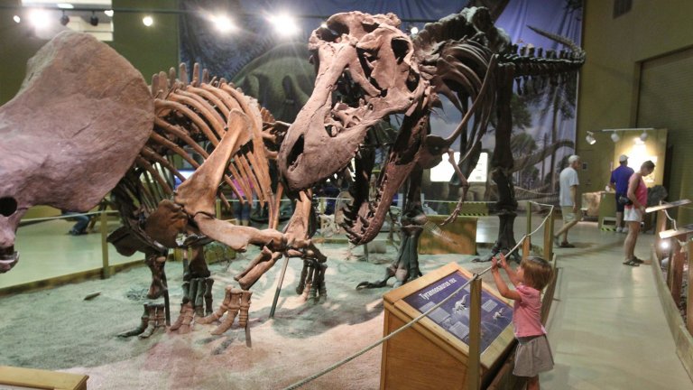 Discover History, Wildlife & Fun: Family-Friendly Museums in Wyoming