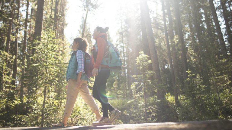 Two women hiking in the forest.