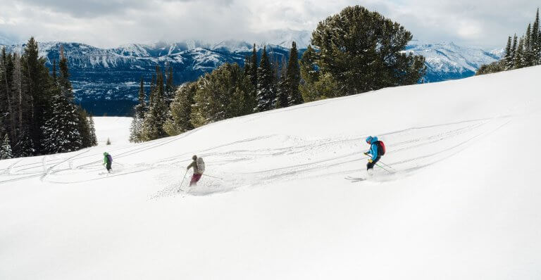 Skiing & Snowboarding