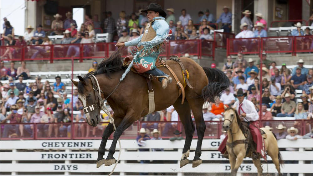 bronc rider in front of crowd