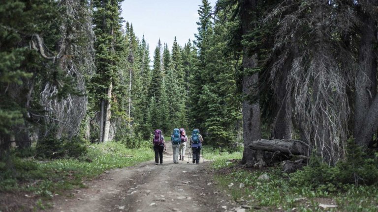Backpackers hiking down trail