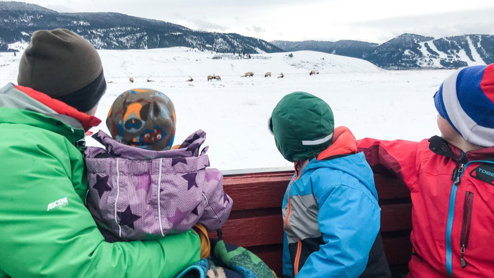 Family in sleigh observing wildlife