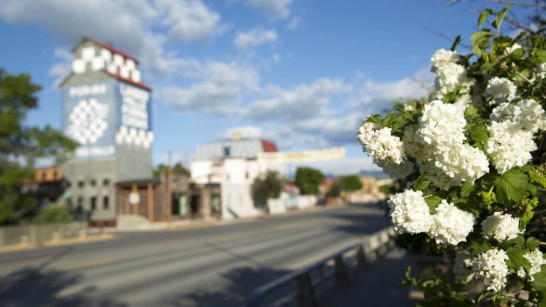 downtown Lander street with flowers