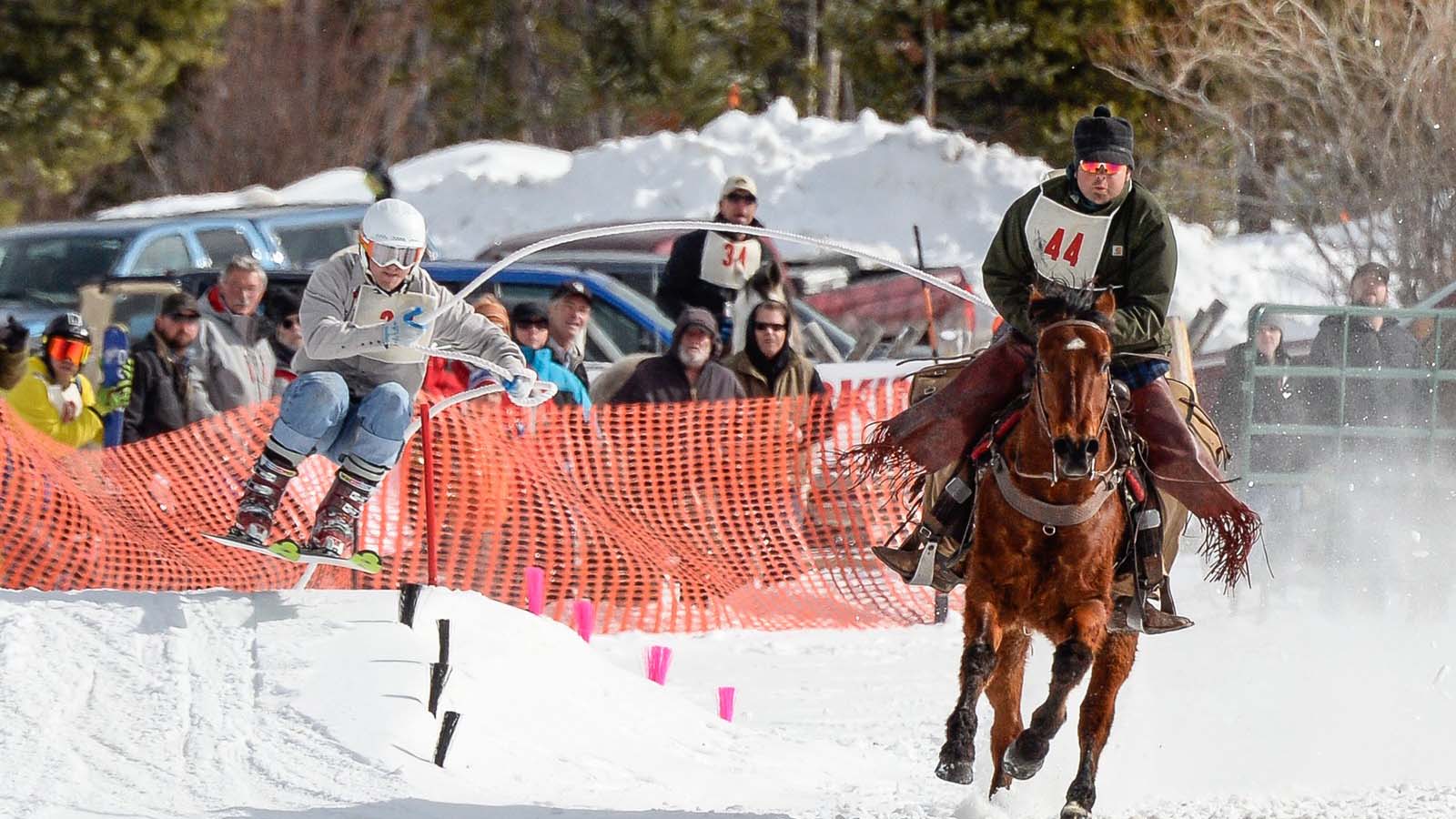 Skijoring in Wyoming: What Is It & Where Can You Watch?