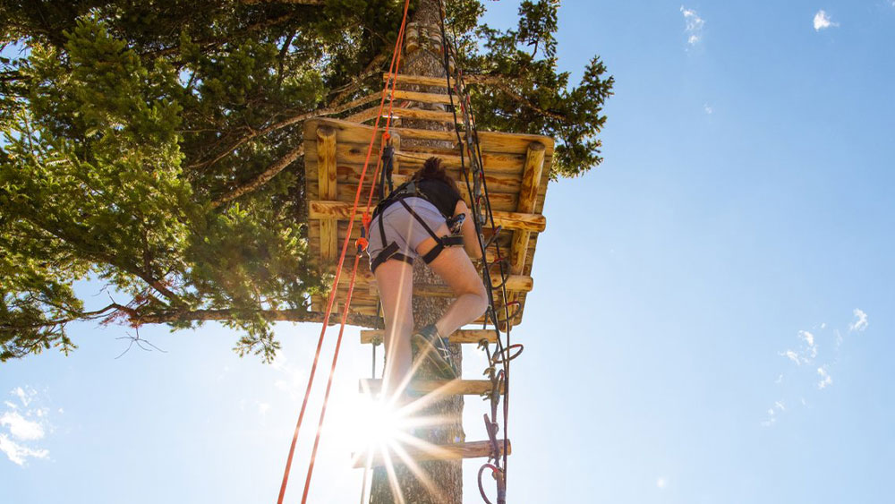 Climber climbing treetop adventure course