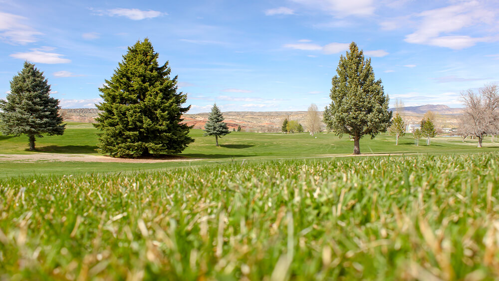 Wyoming Offers Almost 100 Golf Courses to Challenge You