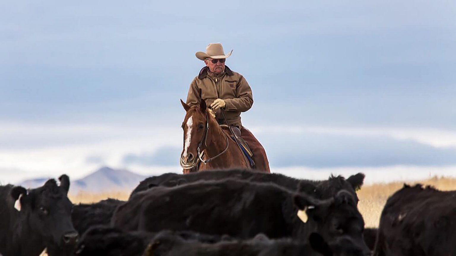 Discover Why Wyoming is Called the Cowboy State