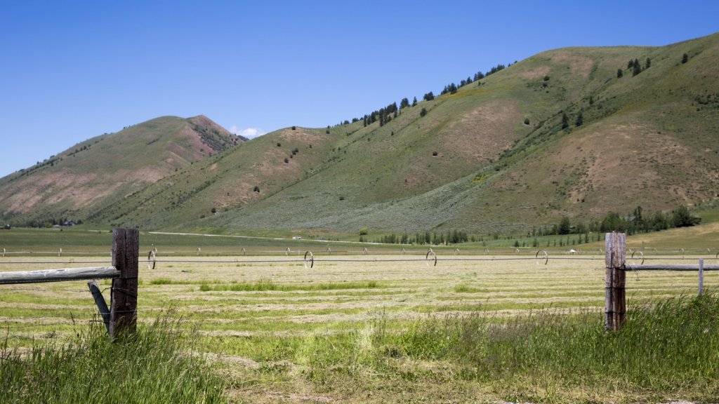 Visiting Shumway Farms is a popular thing to do in Star Valley for families due to its sweeping views of wildlife.