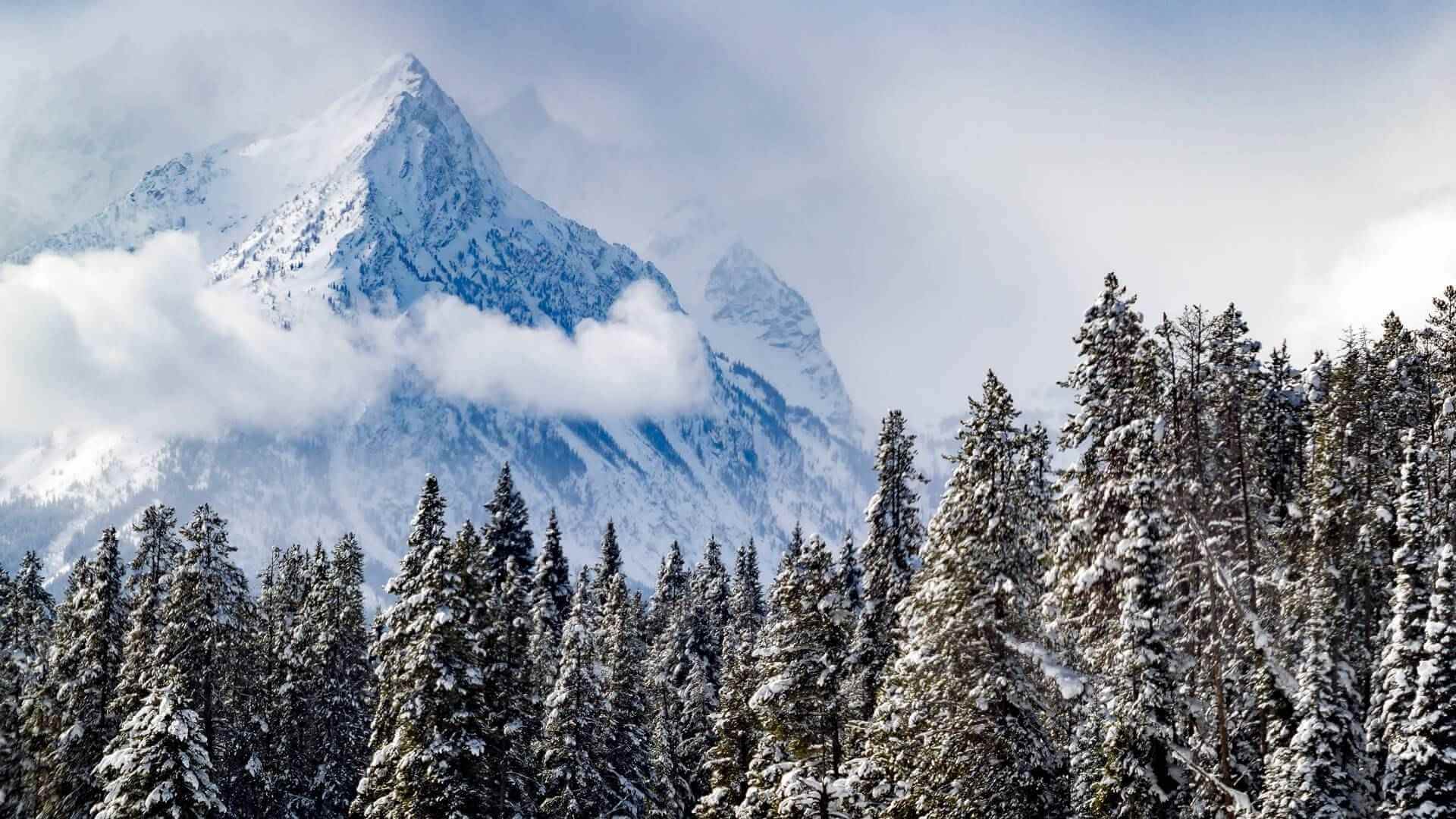 Grand Teton National Park | Wyoming National Parks