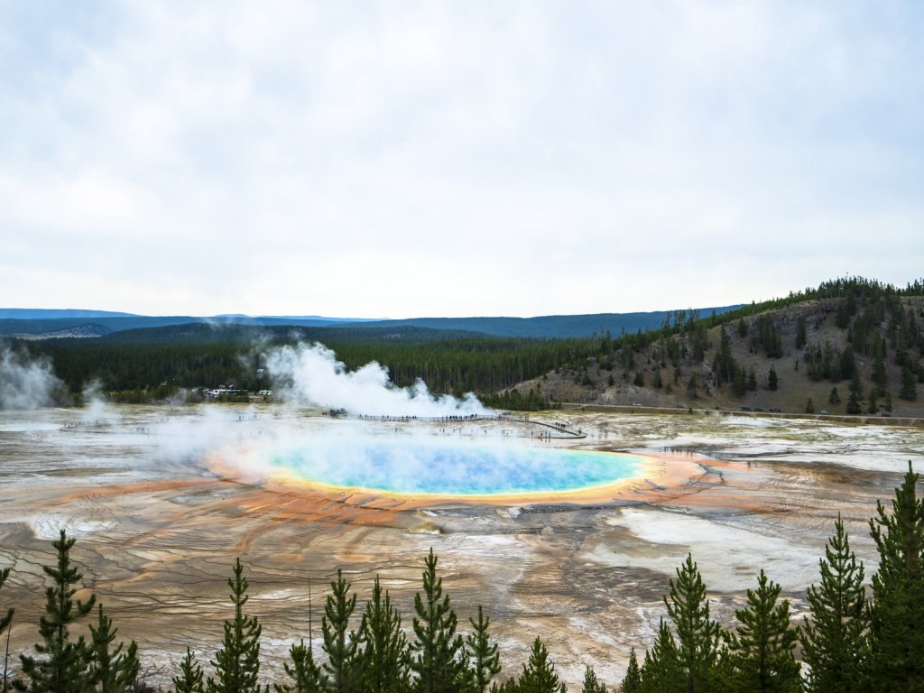 Heat circle surrounded by greenery in Yellowstone National Park