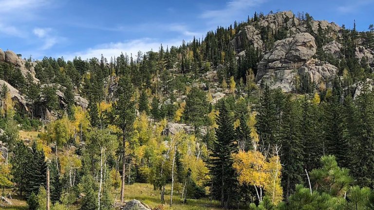 Explore Over Nine Million Acres Of National Forests In Wyoming