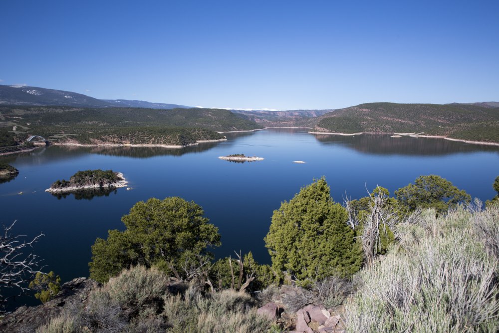 river with greenery all around at Flaming Gorge National Recreation Area in Wyoming.