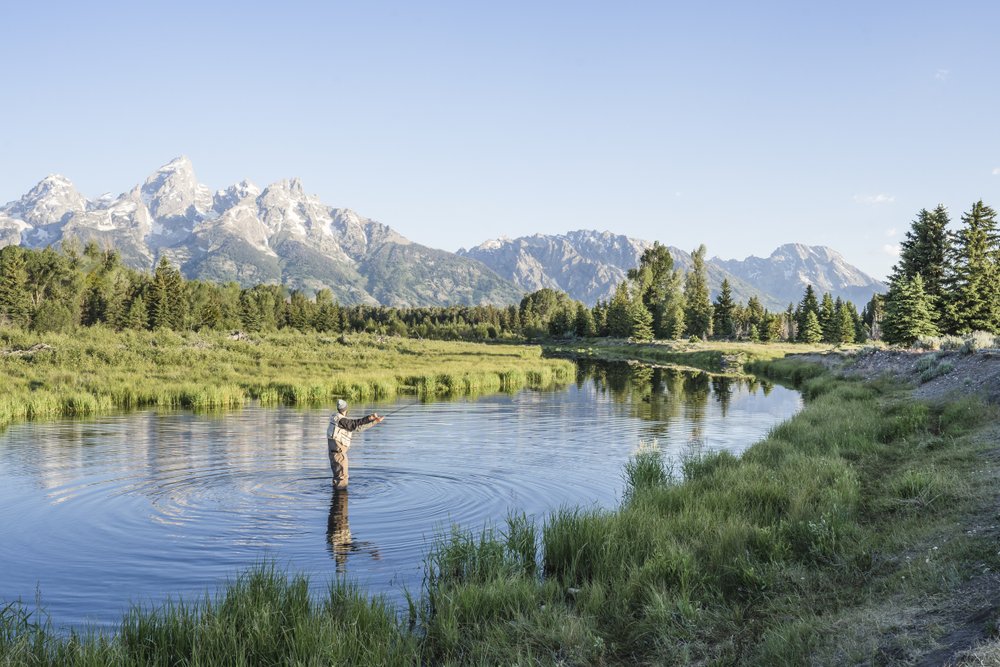Fly-fishing in Wyoming