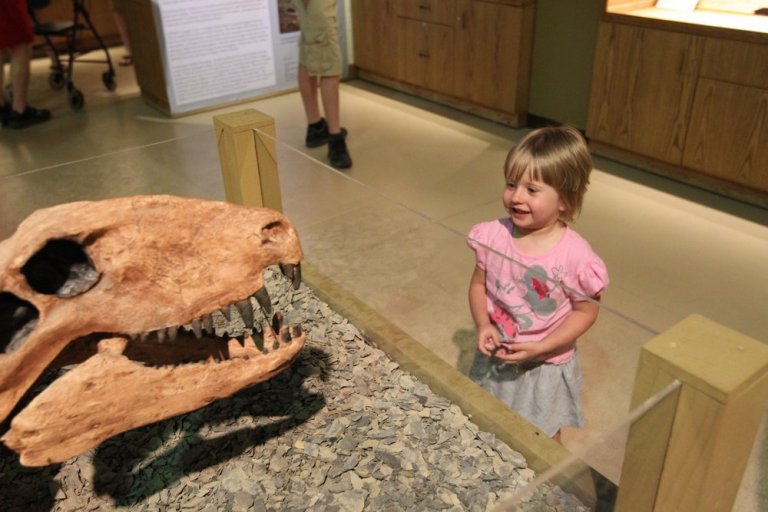 Wyoming Museum of Science & History – Where Curiosity Comes Alive