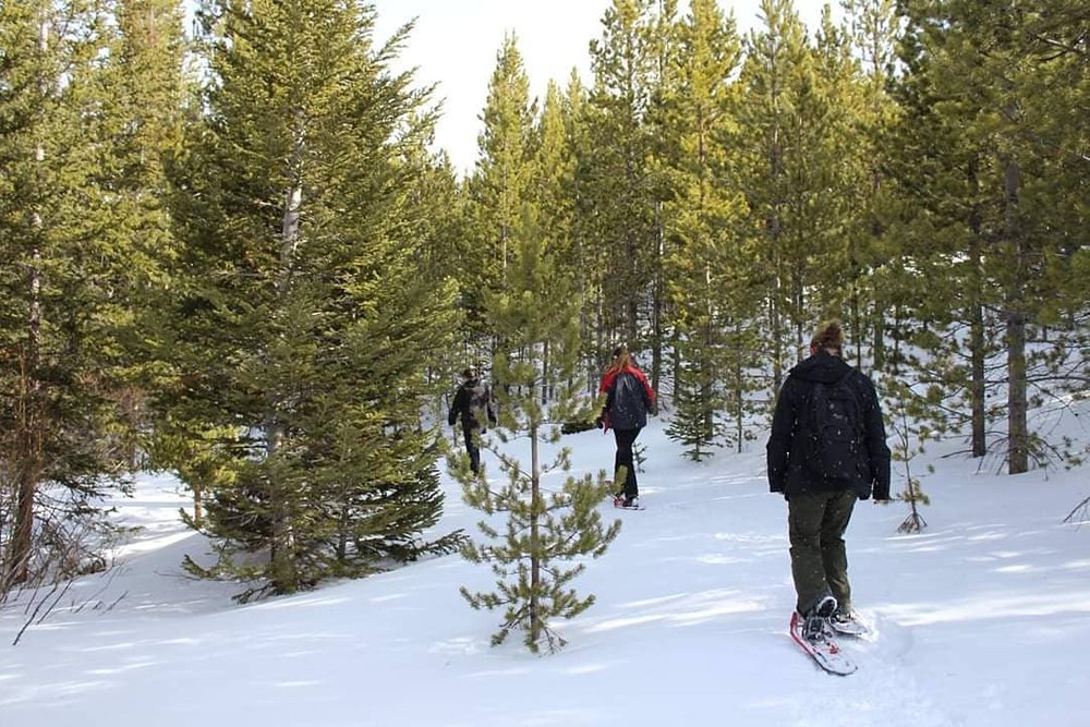 Snowshoeing & Cross-Country Skiing in Wyoming