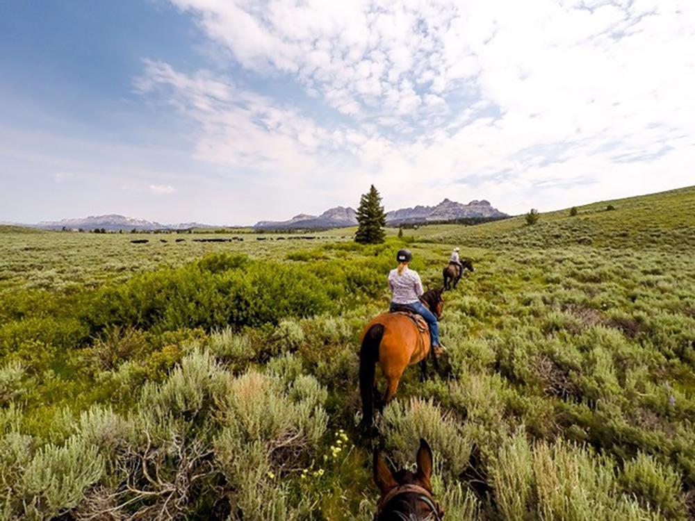 People on horseback through greenery in Wyoming 