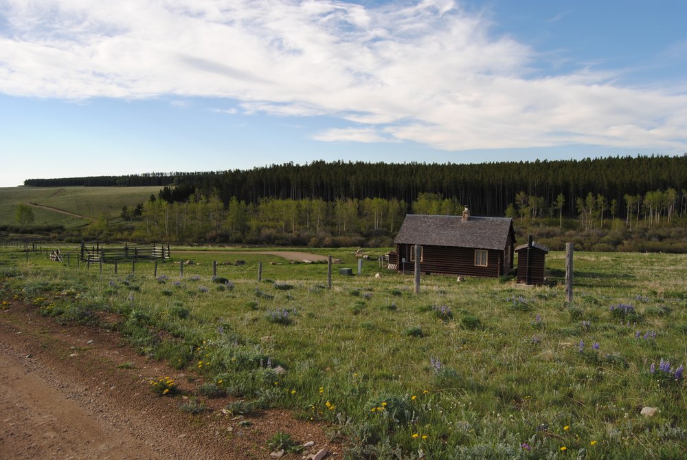 Cabin in a green landscape in Wyoming