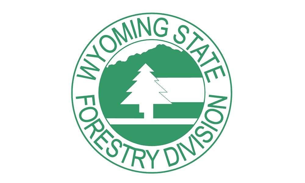 Wyoming department of forestry jobs