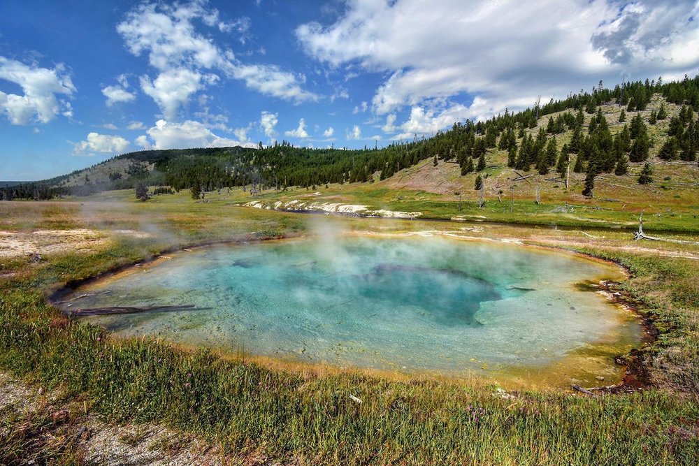 Midway Geyser Basin thermal pool with grasslands around it.