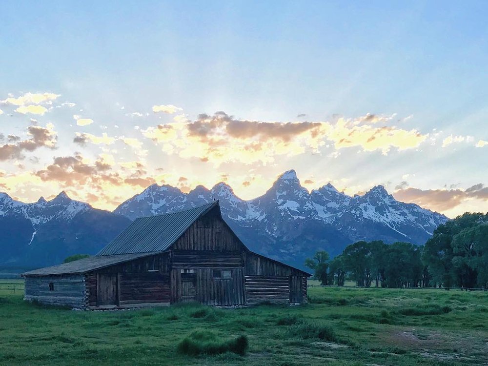 Barn in the middle of a green field with the peaks of the Grand Teton Mountains in the background