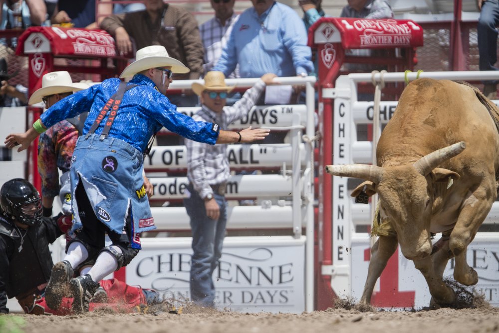 A rodeo clown shares the ring with an enraged bull during bullfighting at a rodeo.