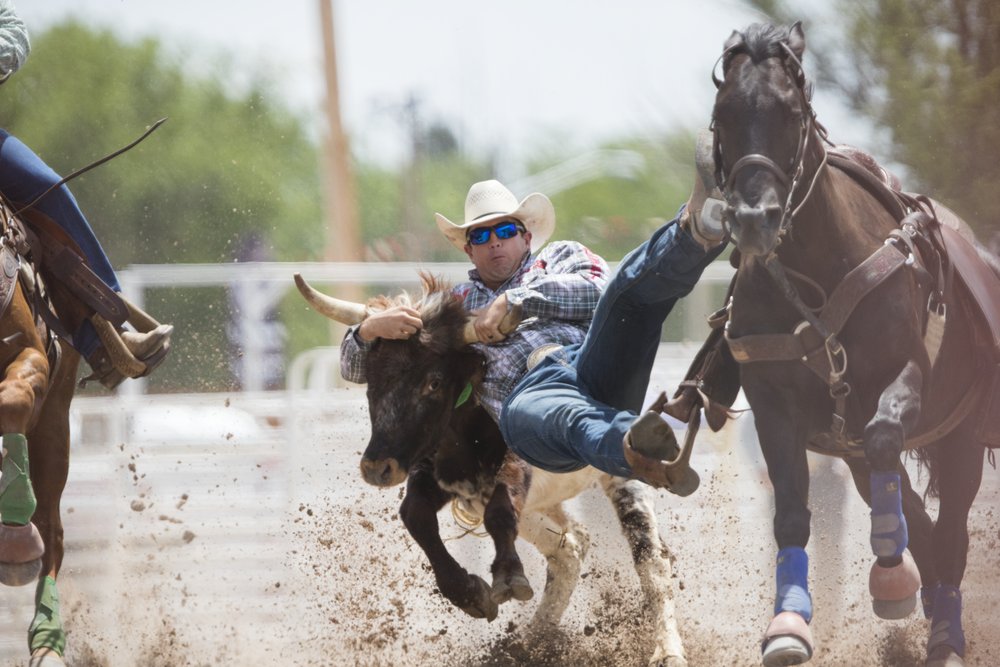 Steer Wrestling at a family rodeo.