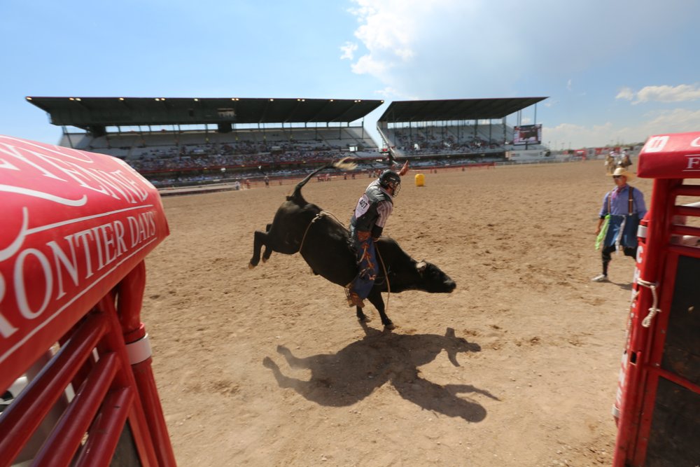 Bull Riding at Cheyenne Frontier Days.
