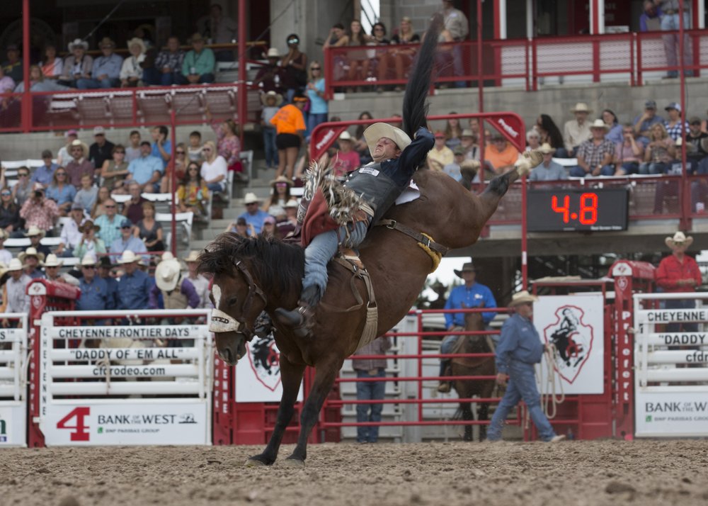 Bareback Riding at a Wyoming Rodeo at Cheyenne Frontier Days.