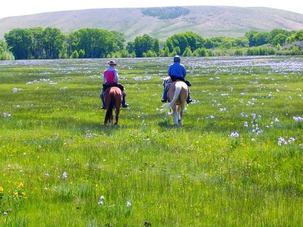 Why Dude Ranches are the Perfect Family Vacation