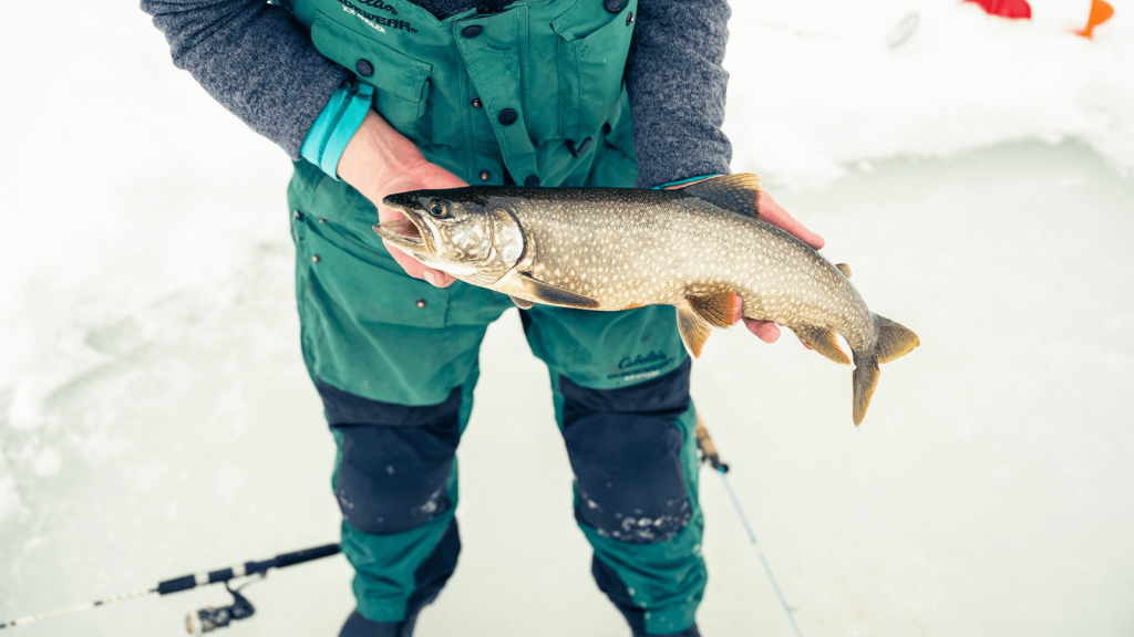 Person showing fish caught while ice fishing.