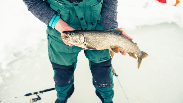 Person showing fish caught while ice fishing.