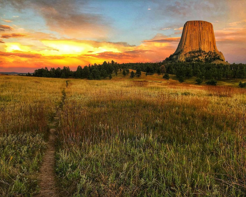 Greenery at Bear Lodge during sunset with Devils Tower to the side 