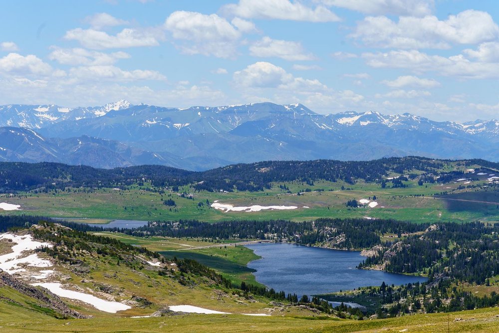 green landscape with rivers in between and a mountainous background at Beartooth Scenic Highway in Wyoming 