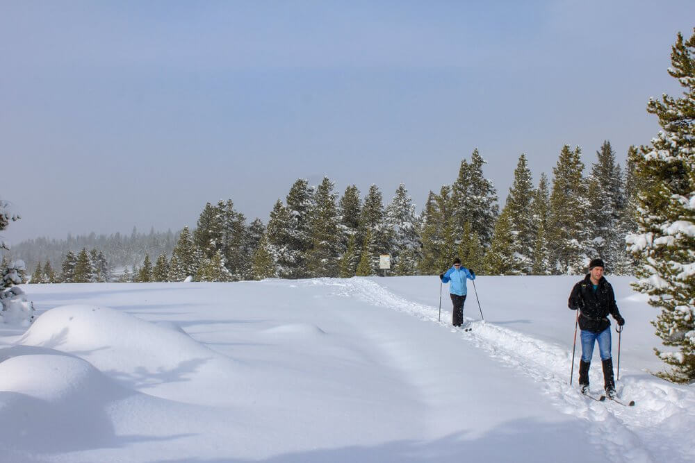 2 people snowshoeing in Yellowstone National Park during the winter. 